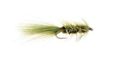 Wooly Bugger - Olive 6 Pack CLOSEOUT